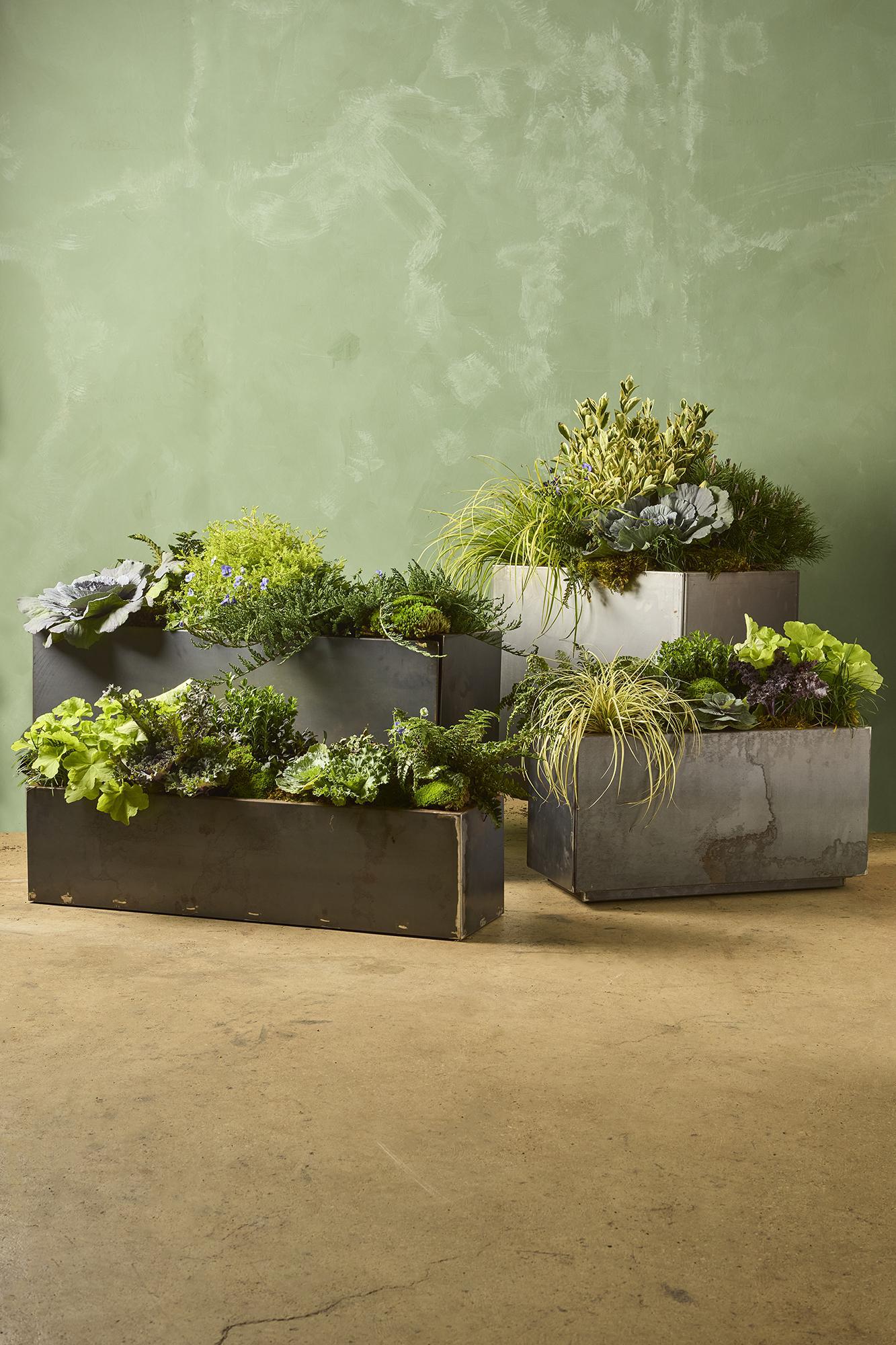 Fall Outdoor Container Gardens (PREORDER)