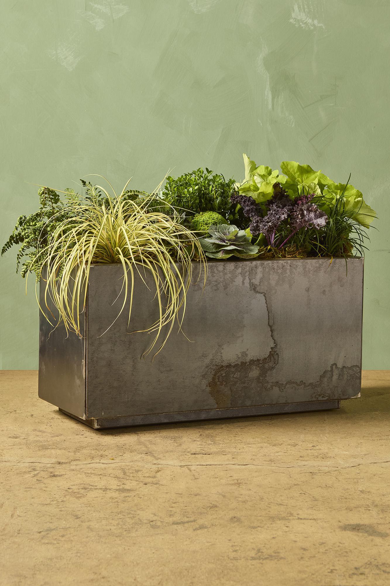 Fall Outdoor Container Gardens (PREORDER)