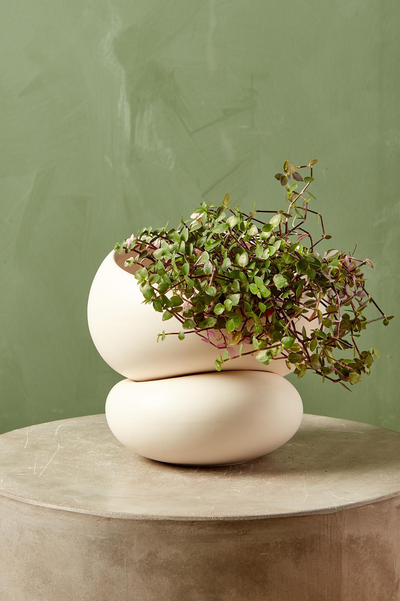 Fondra Planter