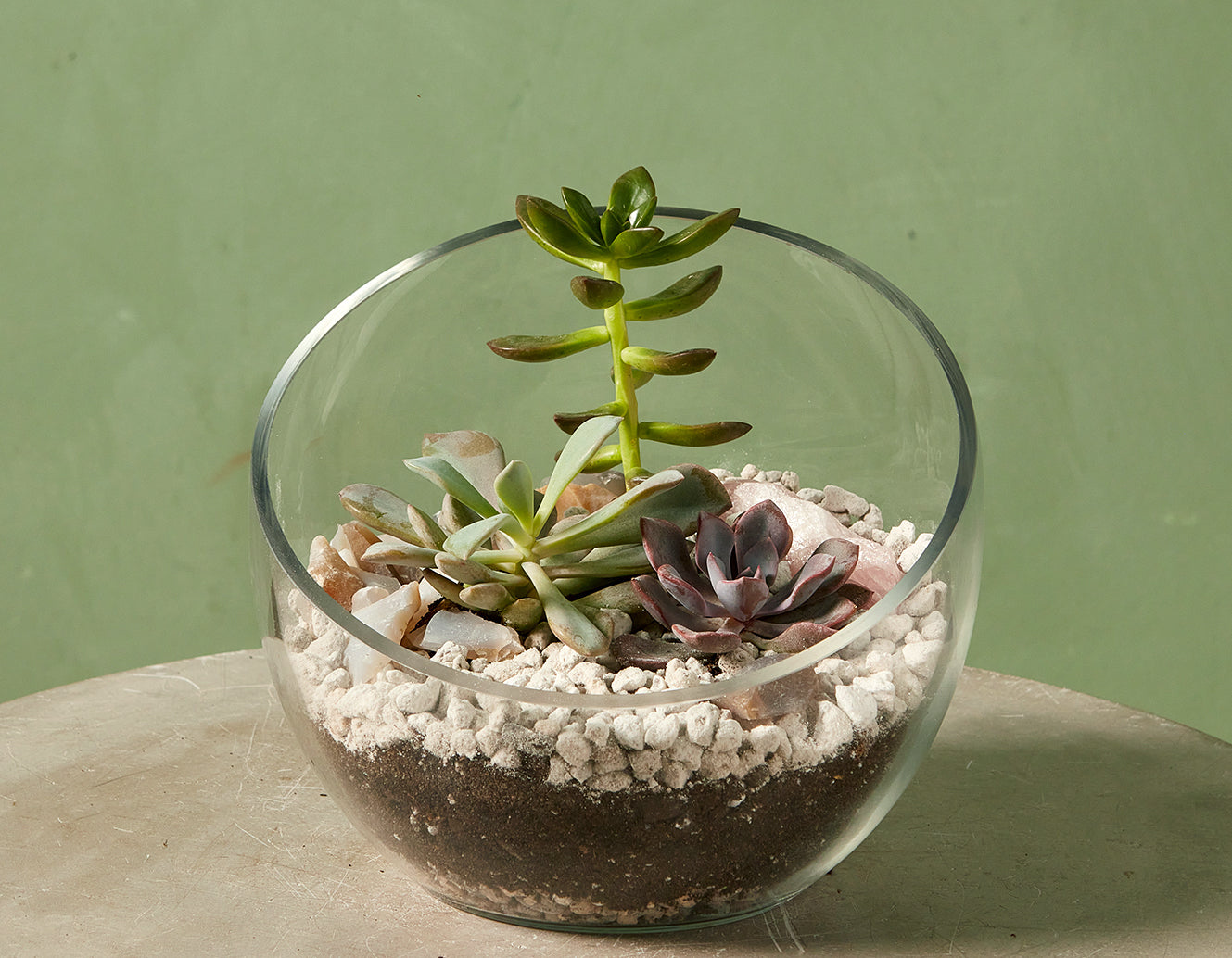 Terrariums at Foundry Gallery 4/12 @ 1PM