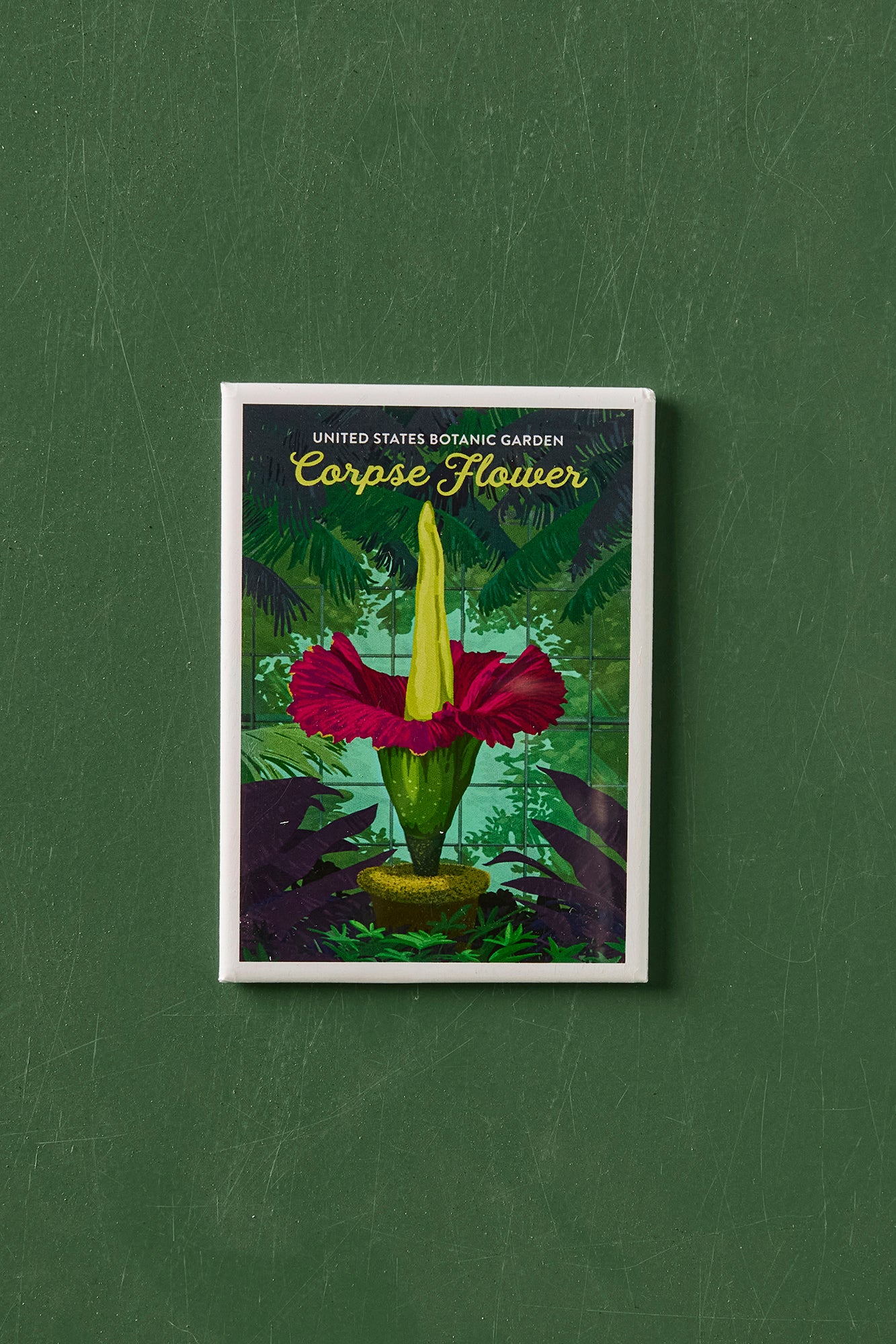 Corpse Flower Contour