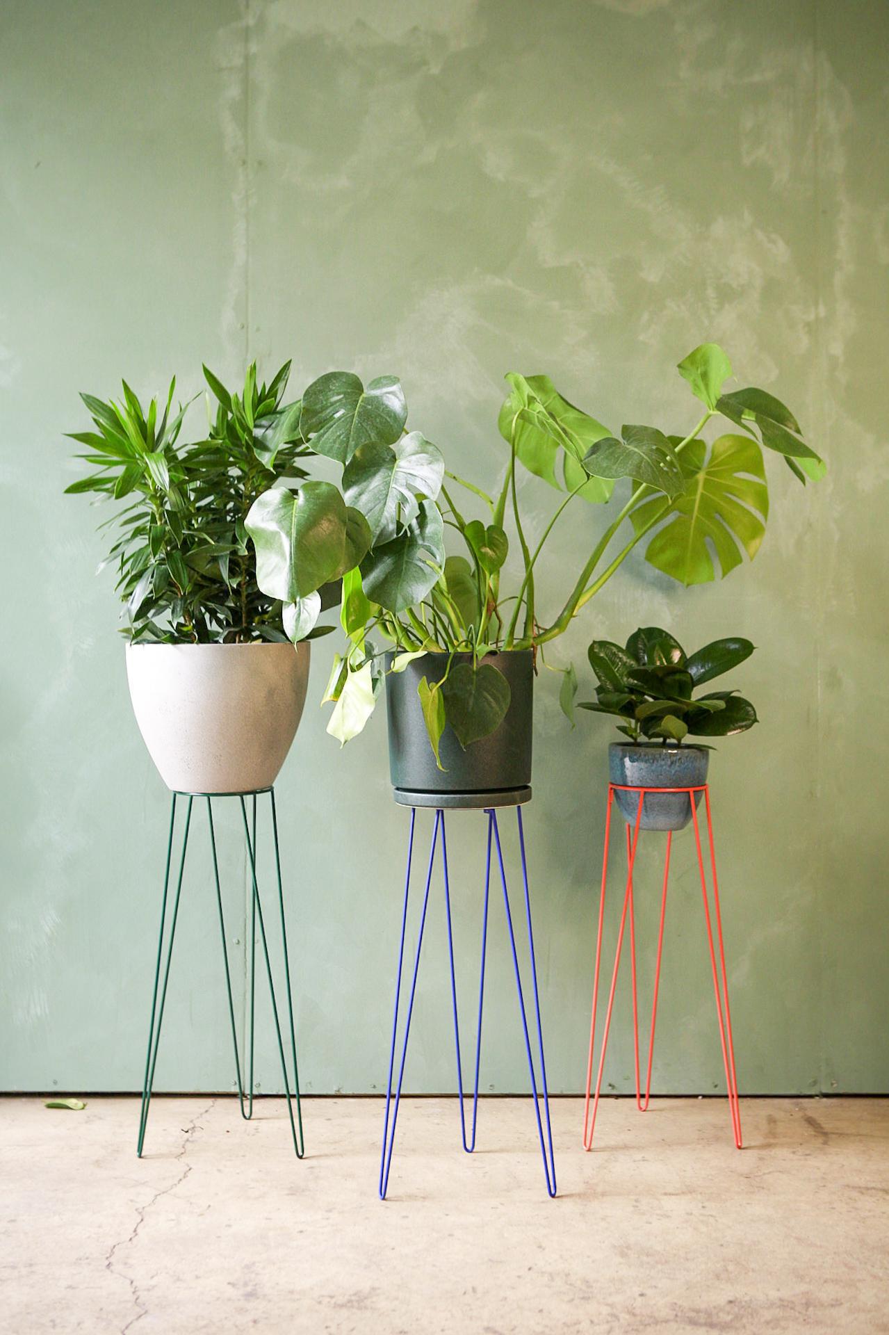 Plant Stand Bujnie