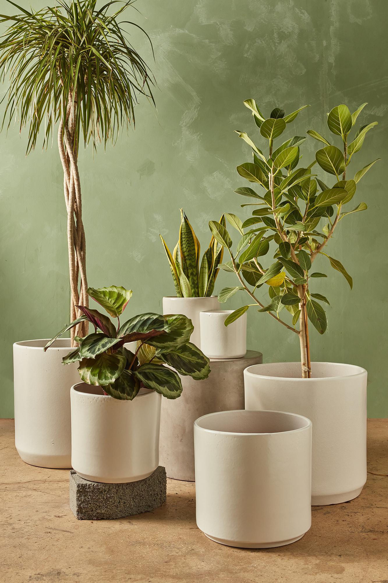 Clay Cylinder Planter